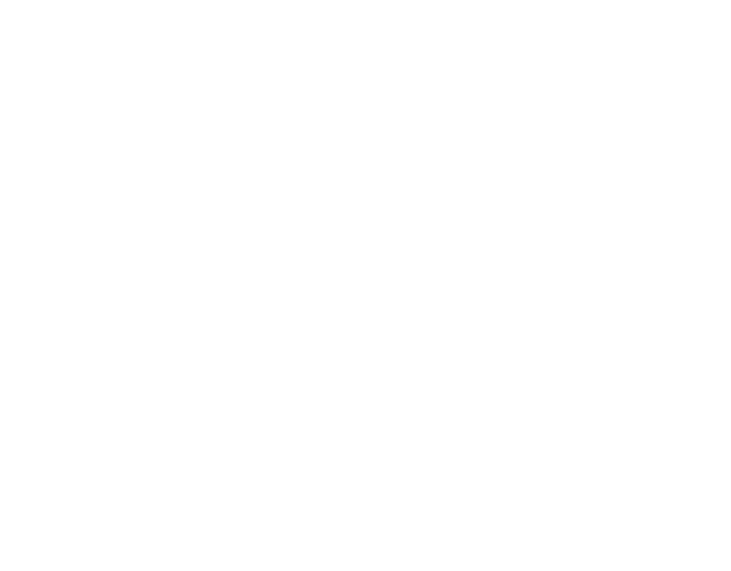 Logo Max-wit